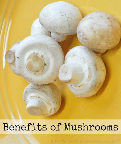 benefits of mushrooms 