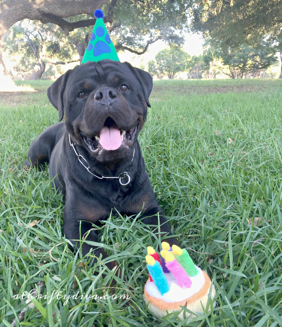 Happy Birthday Beneful Pets