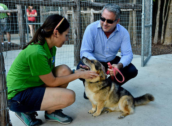 Beneful Dream Dog Park Awards San Antonio Lady Bird Johnson local volunteers Beneful Dream Dog Park Awards San Antonio Lady Bird Johnson local volunteers