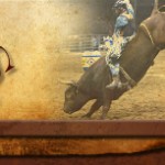 Tejas Rodeo Bulverde Texas Free Appetizer Coupon