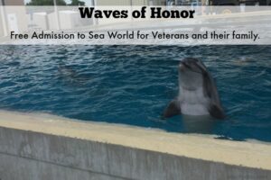 SeaWorld Proudly Offers Free Admission to Veterans