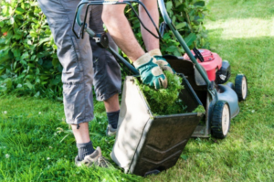 How to Take the Headache out of Lawn Care