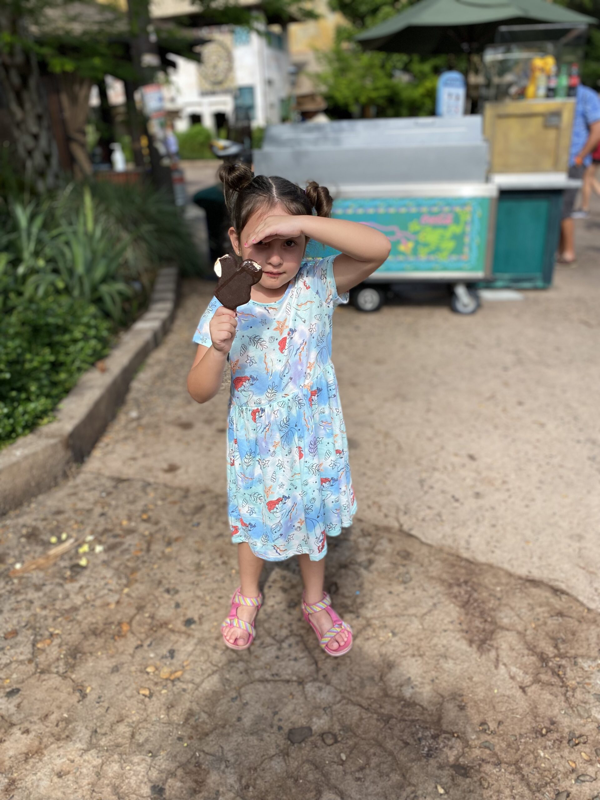 disney world mickey ice creams 