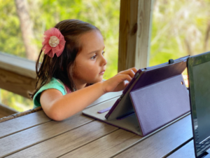 ABCmouse has emerged as a leader in early childhood education, providing an educational platform for kids online that combines an early learning curriculum with interactive lessons,
